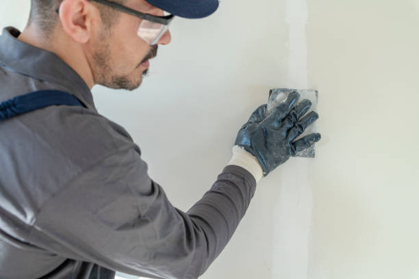 Best Wallpaper Removal and Painting  in Crookston, MN